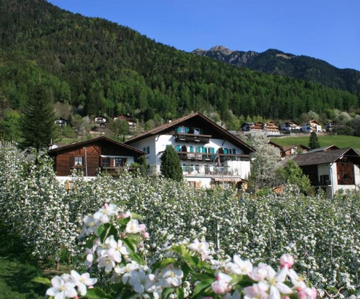 Residence Streitlhof 蒂鲁罗 外观 照片